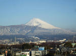 fuji.jpg