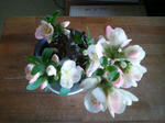 boke_1_2011-03-31.jpg