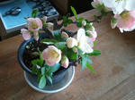 boke_2_2011-03-31.jpg