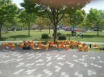 56e0b123.jpg