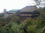 5c93bd89.jpg