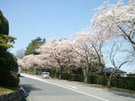 2012-04-12toresen1.jpg