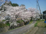 2012-04-12toresensita1.jpg