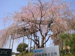 2012-04-12yasec1.jpg
