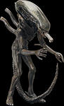 alien.jpg