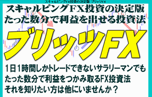 ブリッツFX 手法