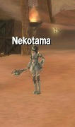 Nekotama様