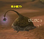 ブトかわいいよブト(*´д`*)