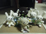 DSCF8469.jpg