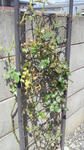 2010082613440000.jpg
