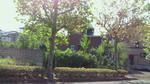 2010082713070000.jpg