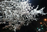 2012041010040000.jpg