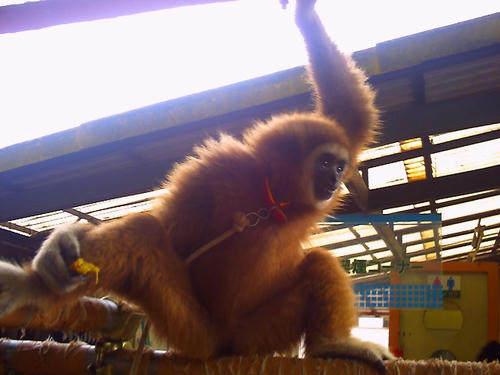 PICT0164_s.JPG