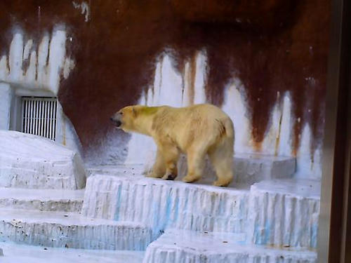 PICT2126_s.JPG