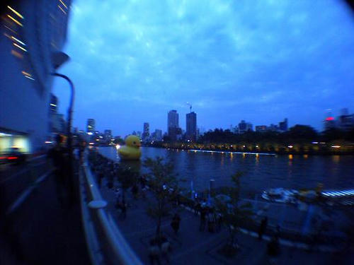 PICT2255_s.JPG