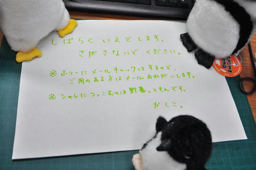 DSC_0030_s.JPG