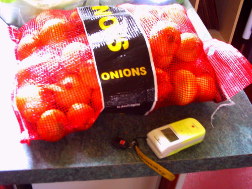 PICT0378_s.JPG