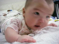 IMGP0913.JPG