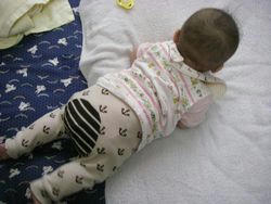 IMGP0909.JPG