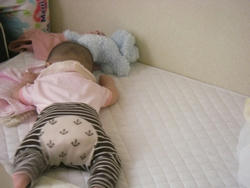 IMGP0966.JPG