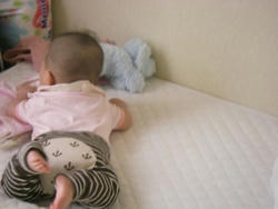 IMGP0964.JPG