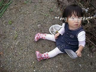 IMGP2271.jpg