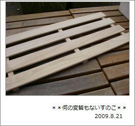 IMGP3005.jpg