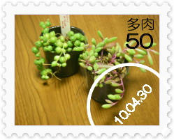 281a50d8.jpg