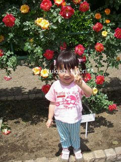 IMGP3312.JPG