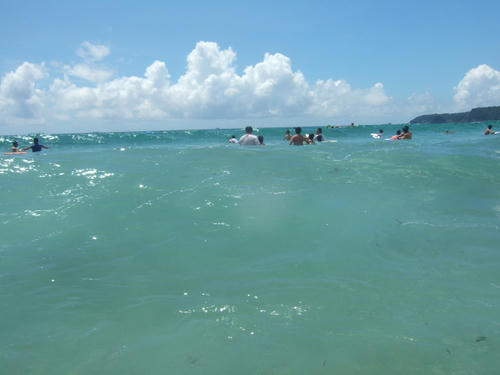 DSCF2215.JPG