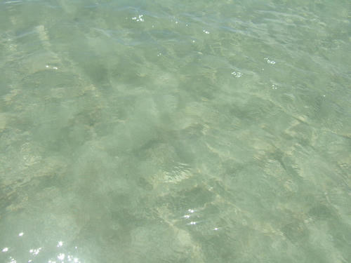 DSCF2213.JPG
