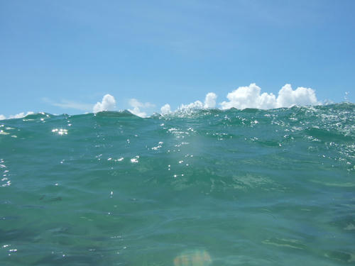 DSCF2227.JPG