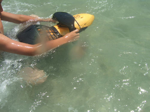 DSCF2268.JPG