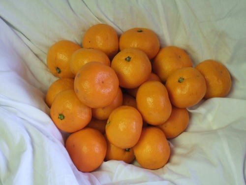 0550aa49.JPG