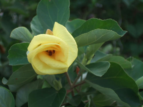 DSCF3493.JPG