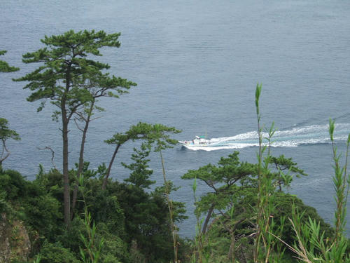 DSCF3642.JPG