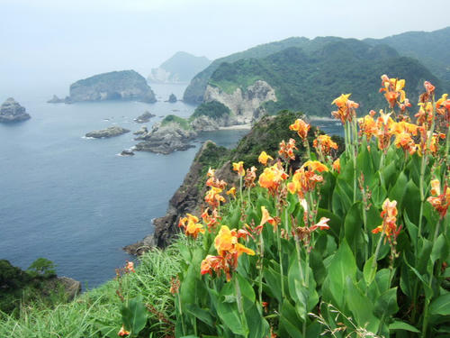 DSCF3645.JPG