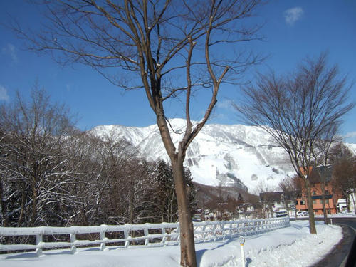 DSCF3994.JPG