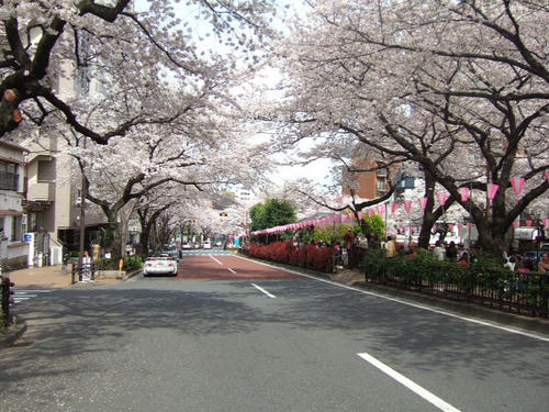 DSCF4161.JPG