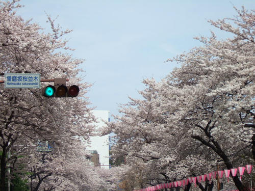 DSCF4165.JPG