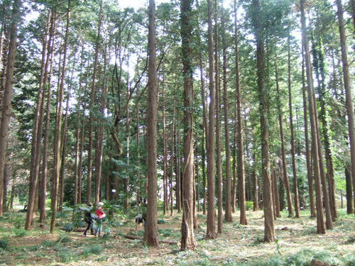 DSCF4204.JPG