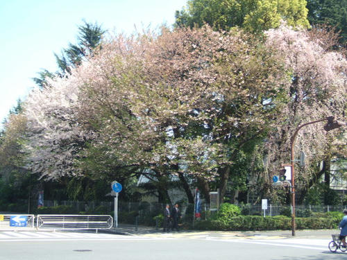 DSCF4234.JPG