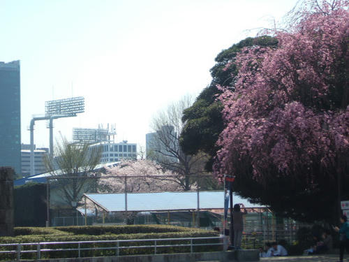 DSCF4238.JPG