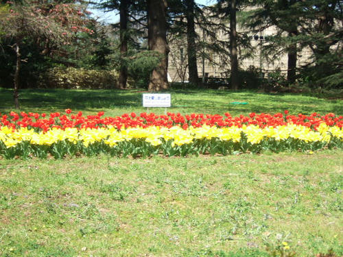 DSCF4235.JPG
