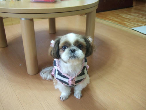 DSCF5053.JPG