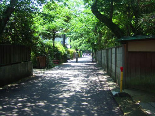 DSCF5249.JPG