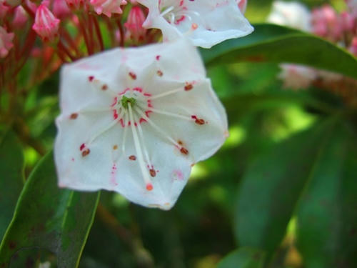 DSCF5310.JPG