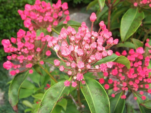 DSCF5381.JPG