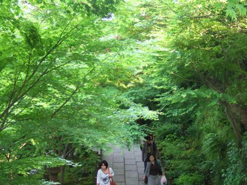 DSCF5392.JPG