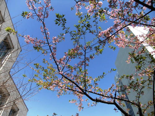 DSCF0213.JPG